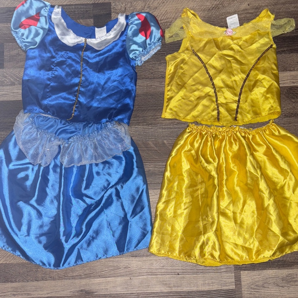 Disney Enchanting Blue and Yellow Costume Duo